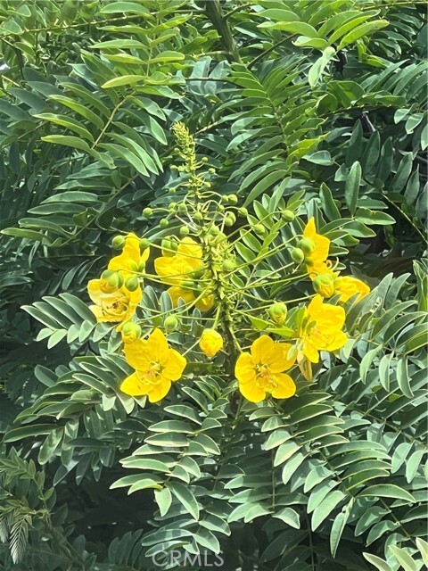 Building Photo - 12 Coach Rd