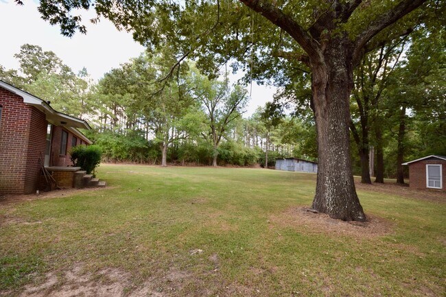 Building Photo - 3 Bed 1 Bath Home!