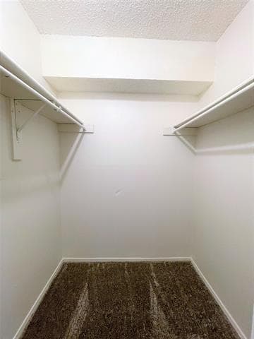 Building Photo - 2733 Patricia Ln