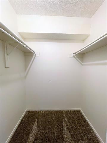 Building Photo - 2739 Patricia Ln