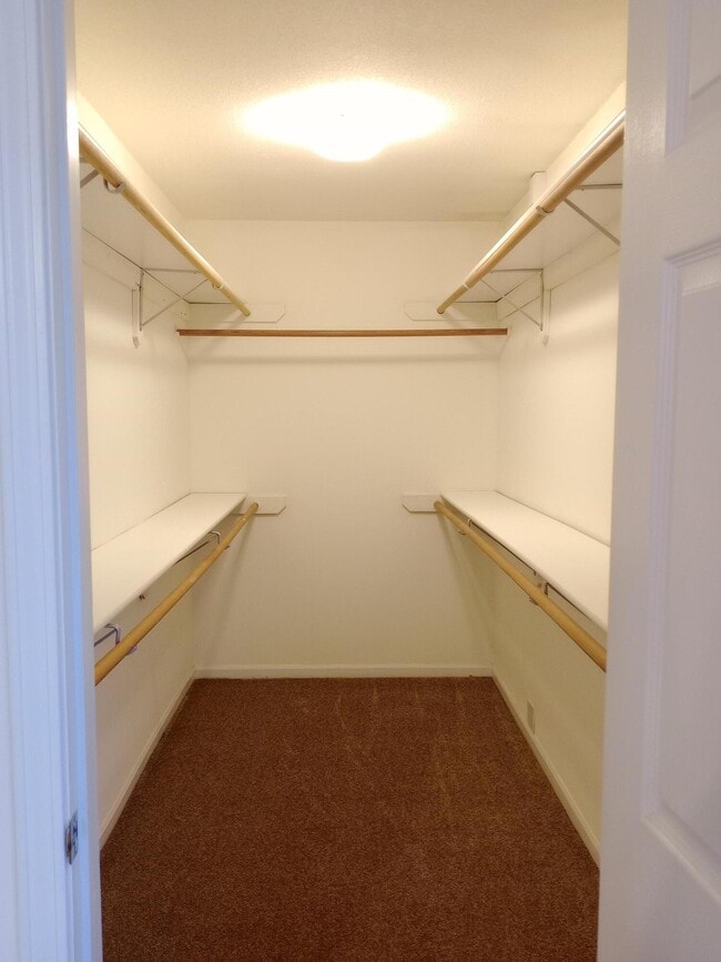 Building Photo - 2416 Calder Ct