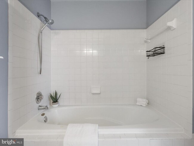 Building Photo - 303 Mayfair Pl