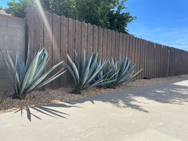Side Driveway - 7811 Paso Robles Ave