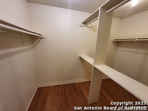 Building Photo - 9822 Ardash Ln