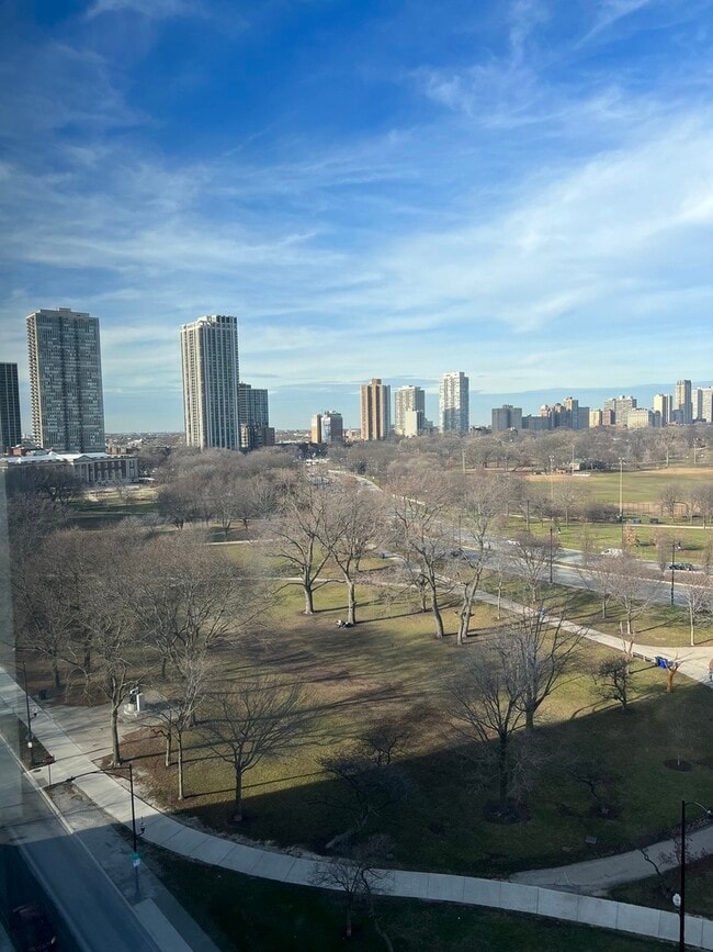 Building Photo - 1550 N Lake Shore Dr