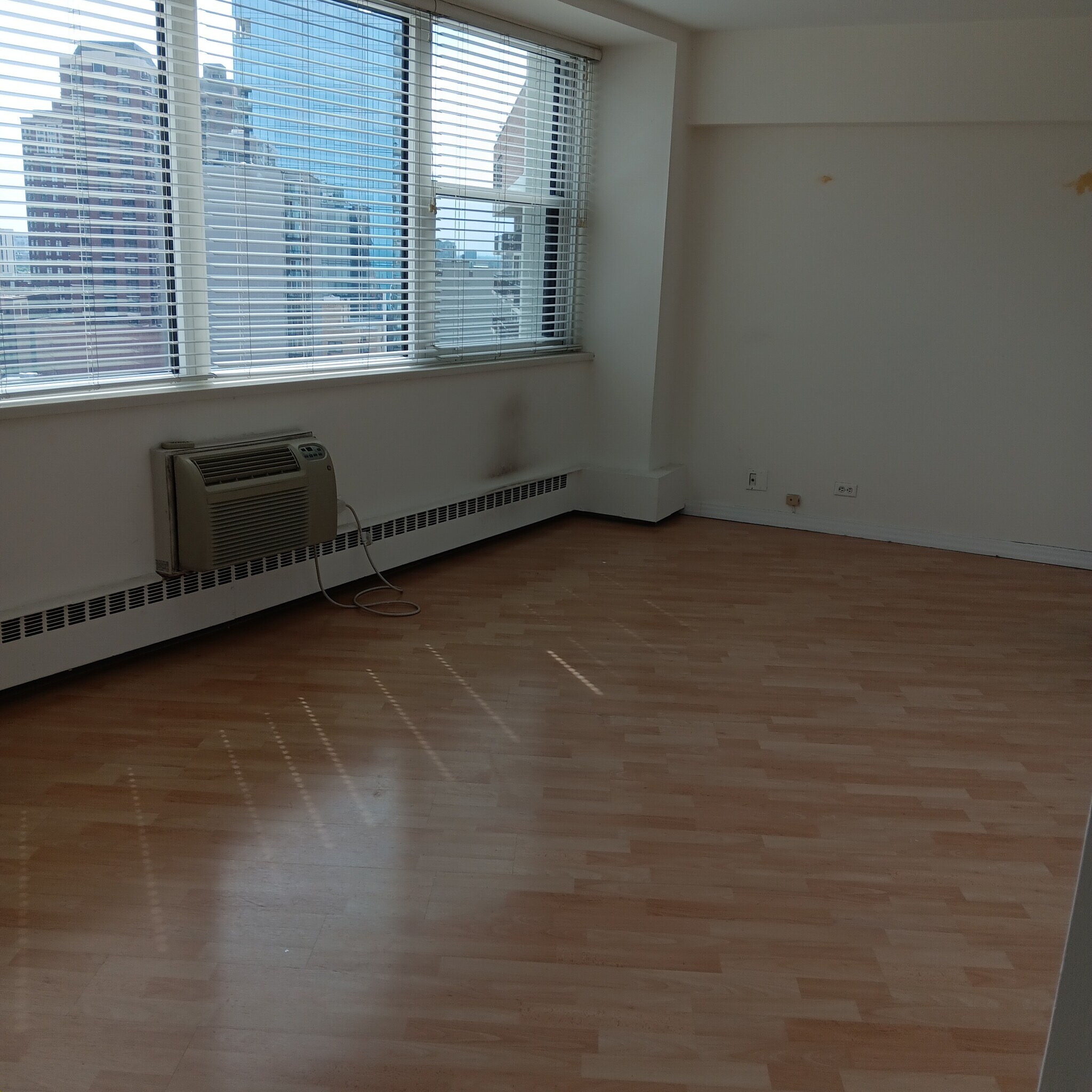 Building Photo - 1150 N Lake Shore Dr