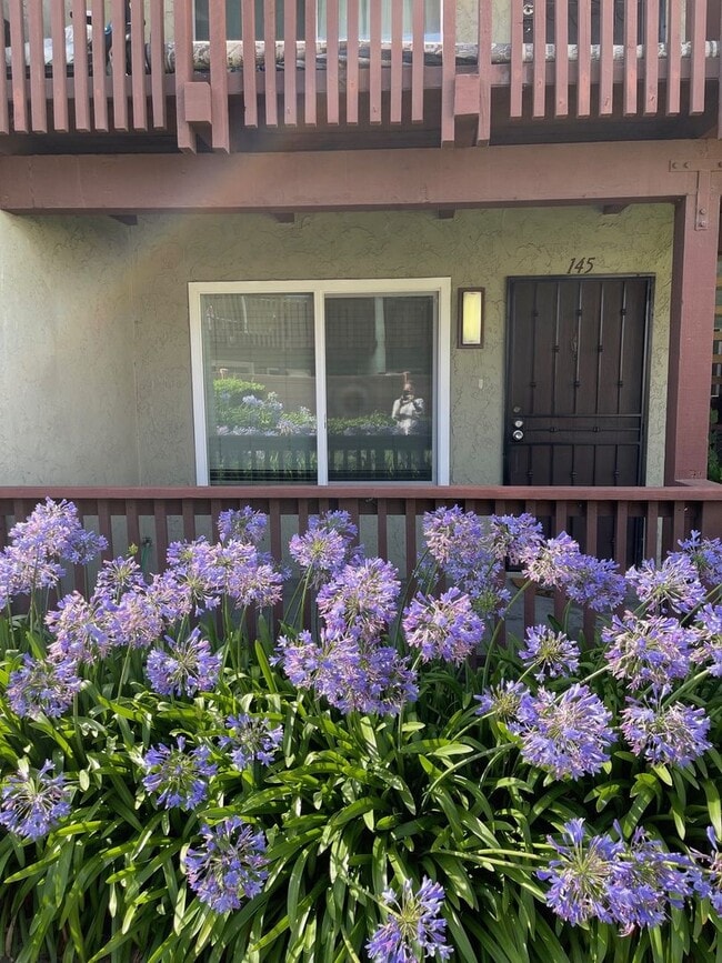 Building Photo - 1 Bed 1 bath Ground floor Condo by South C...