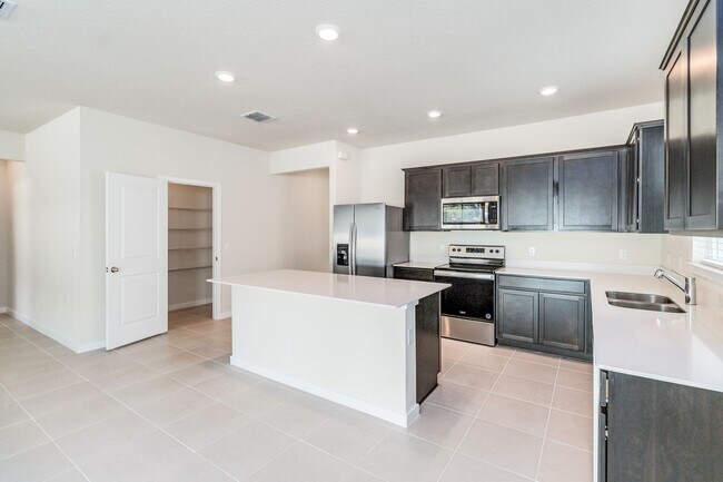 Building Photo - Beautiful 4/2 Energy Efficient Home in St....