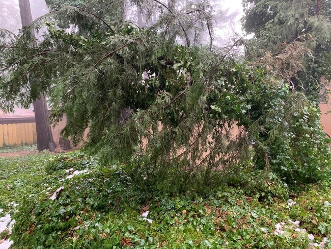 Building Photo - 2 Bedroom one bath Manufactured home on Cul De Sac