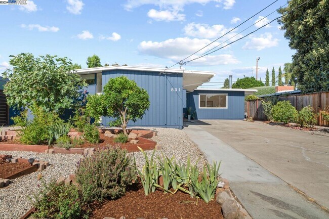 Building Photo - 801 Richmond Ave