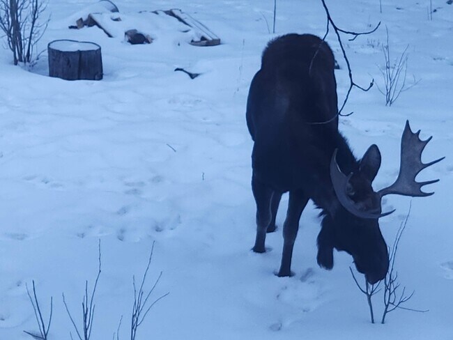 Building Photo - 4603 Co Rd 1