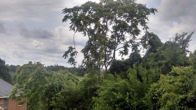 Building Photo - 3811 Swann Rd