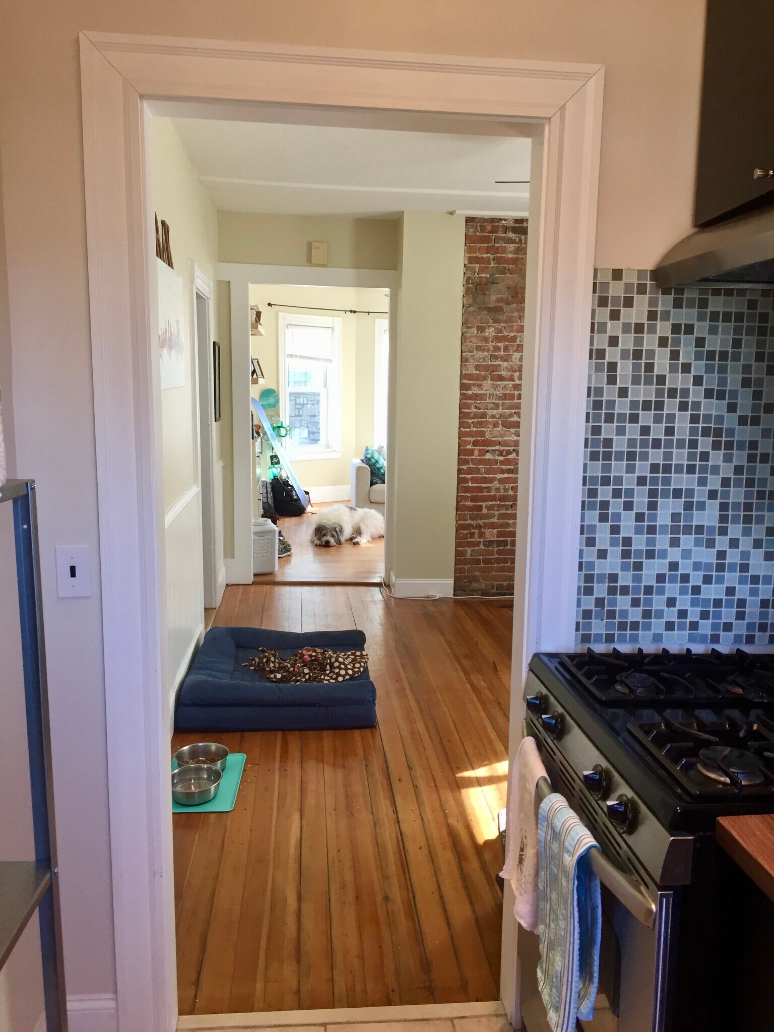View from Inside the Kitchen - 16 Tecumseh Street