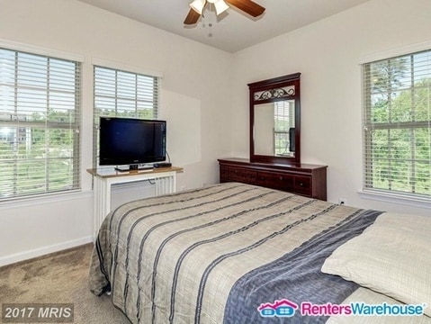 Building Photo - 7303 Old Calvary Rd