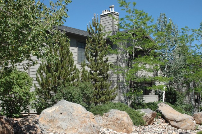 Primary Photo - Forest Meadows Apartments