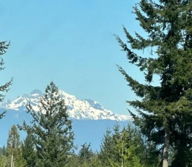 Building Photo - 3719 85th Ave NE