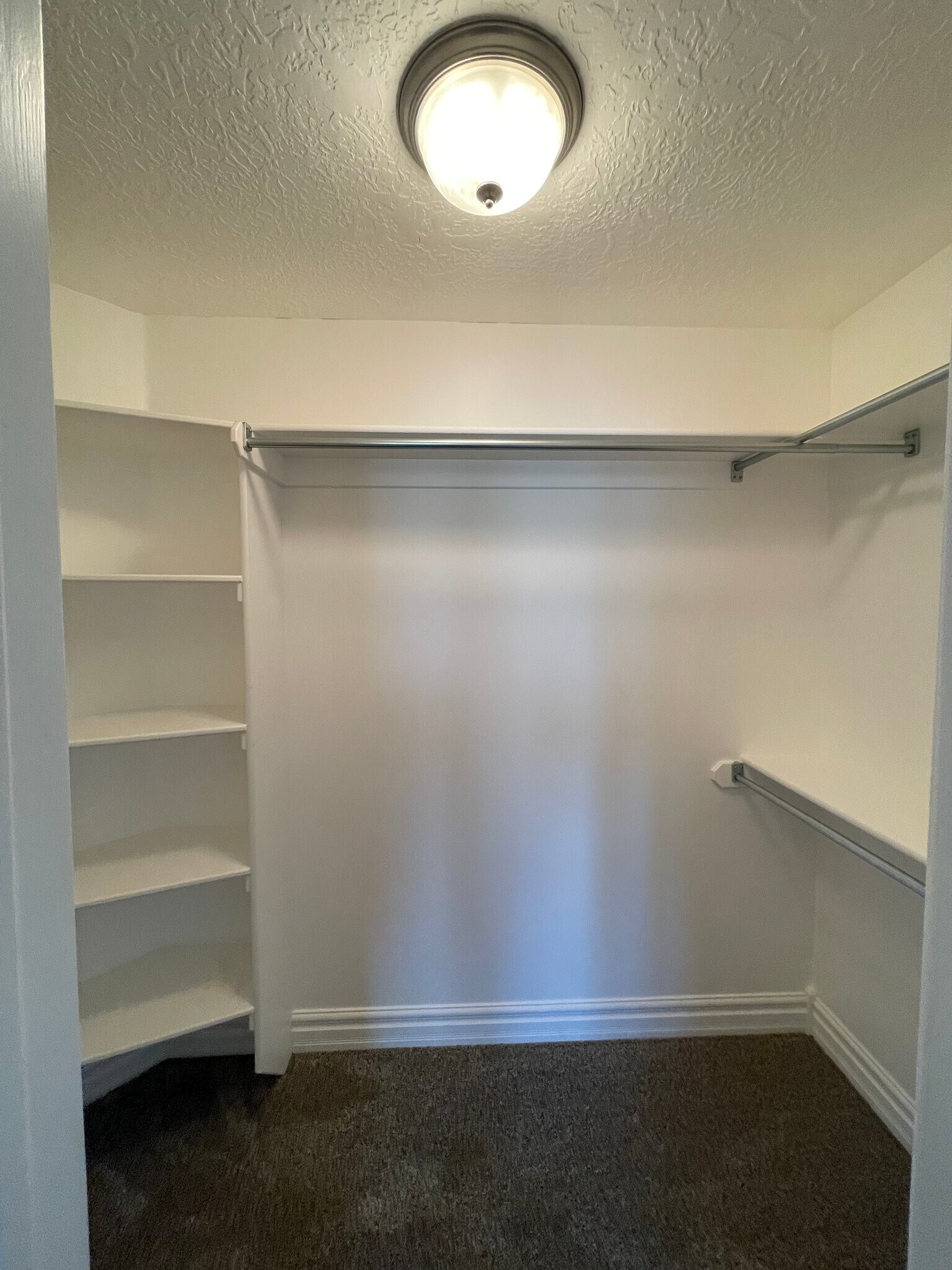Building Photo - 1127 Elgin Ct