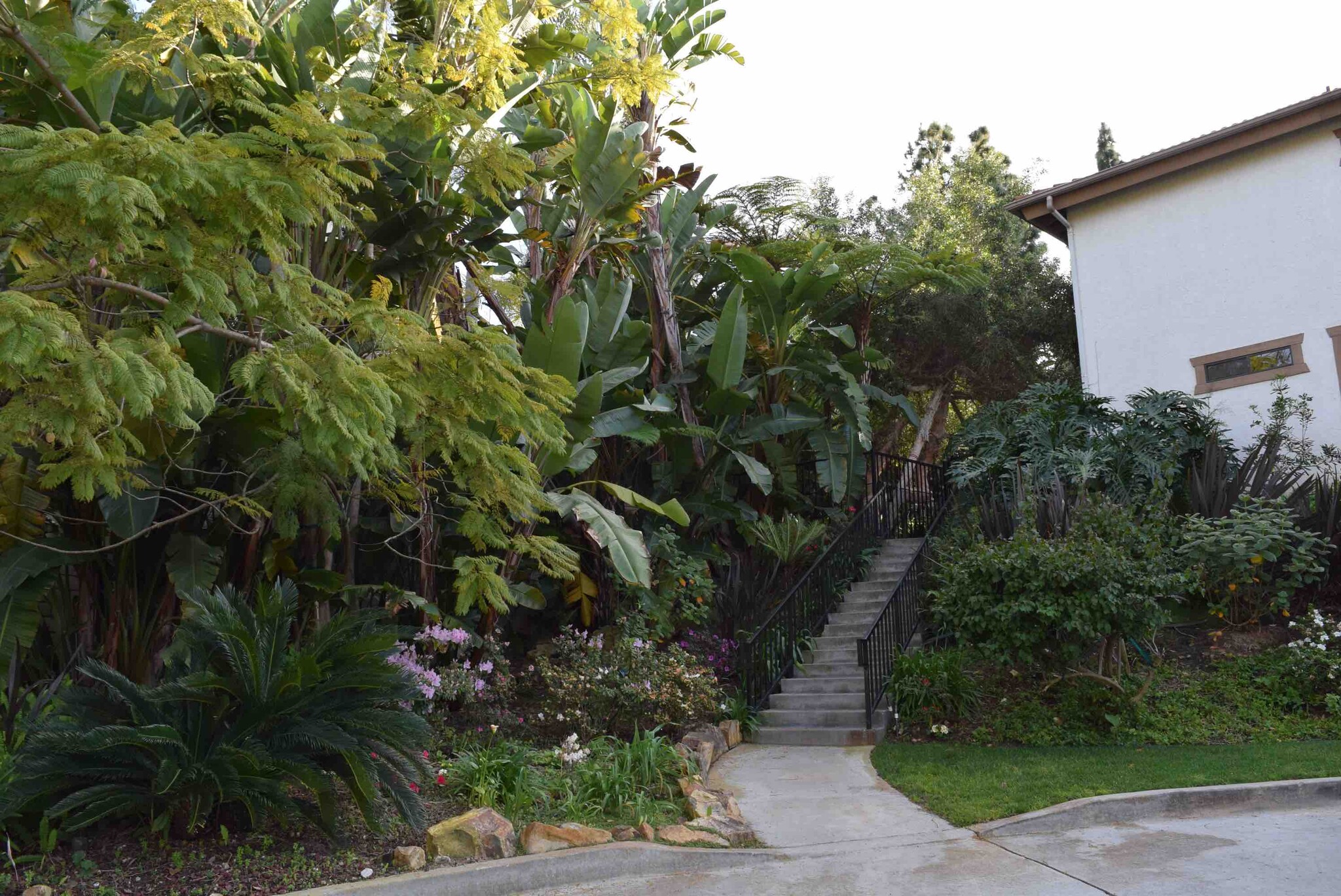 Building Photo - 2657 Cazadero Dr