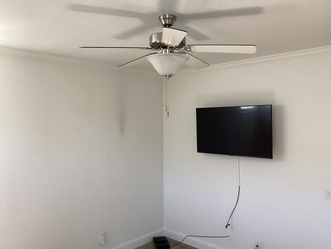 Building Photo - Live Oak