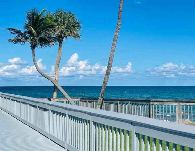 Building Photo - 1237 Hillsboro Mile