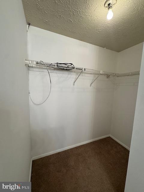 Building Photo - 3621 Seaford Ct