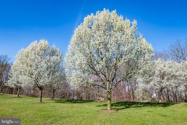 Building Photo - 5668 Ridge View Dr