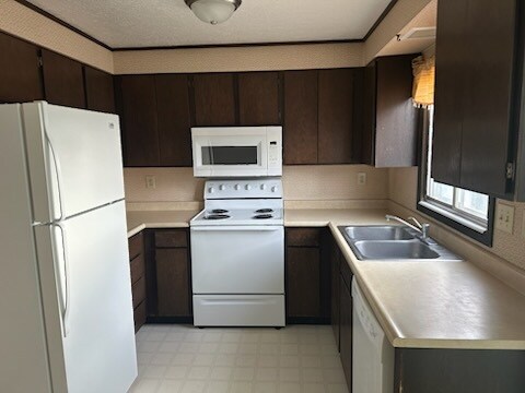 Building Photo - 711 Miller Ct