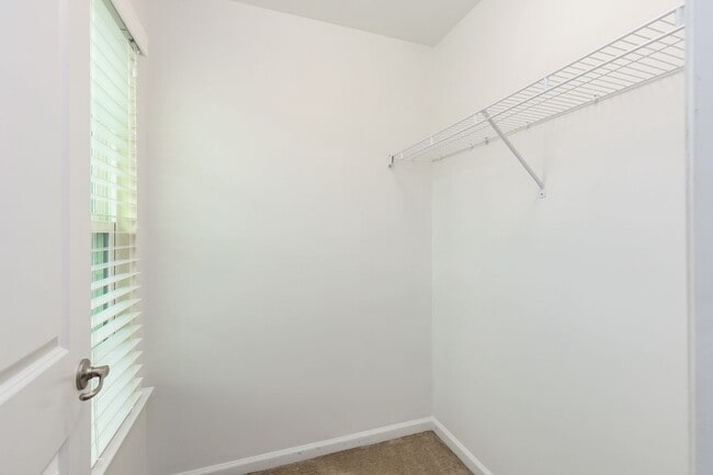 Building Photo - Spacious Home in Williamsburg - WASHINGTON RIDGE