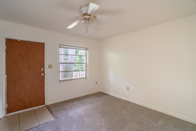 Building Photo - 236 Desoto Dr