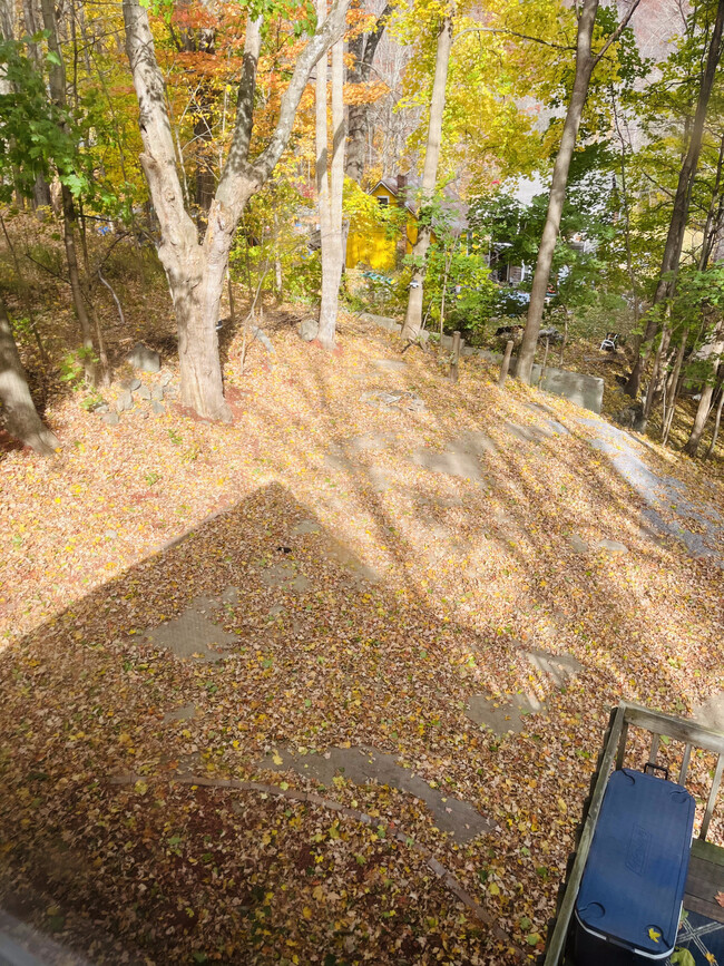 View of private backyard (.25 acre) - 14 Mountain Ave