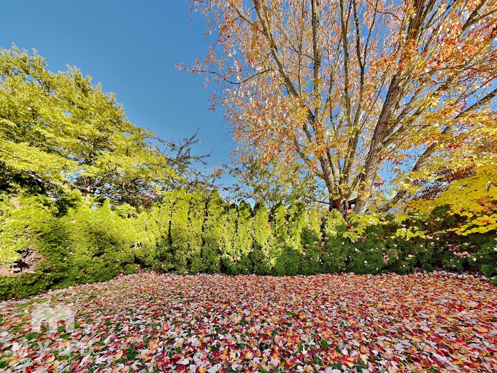 Building Photo - 20654 SW Sun Drop Pl