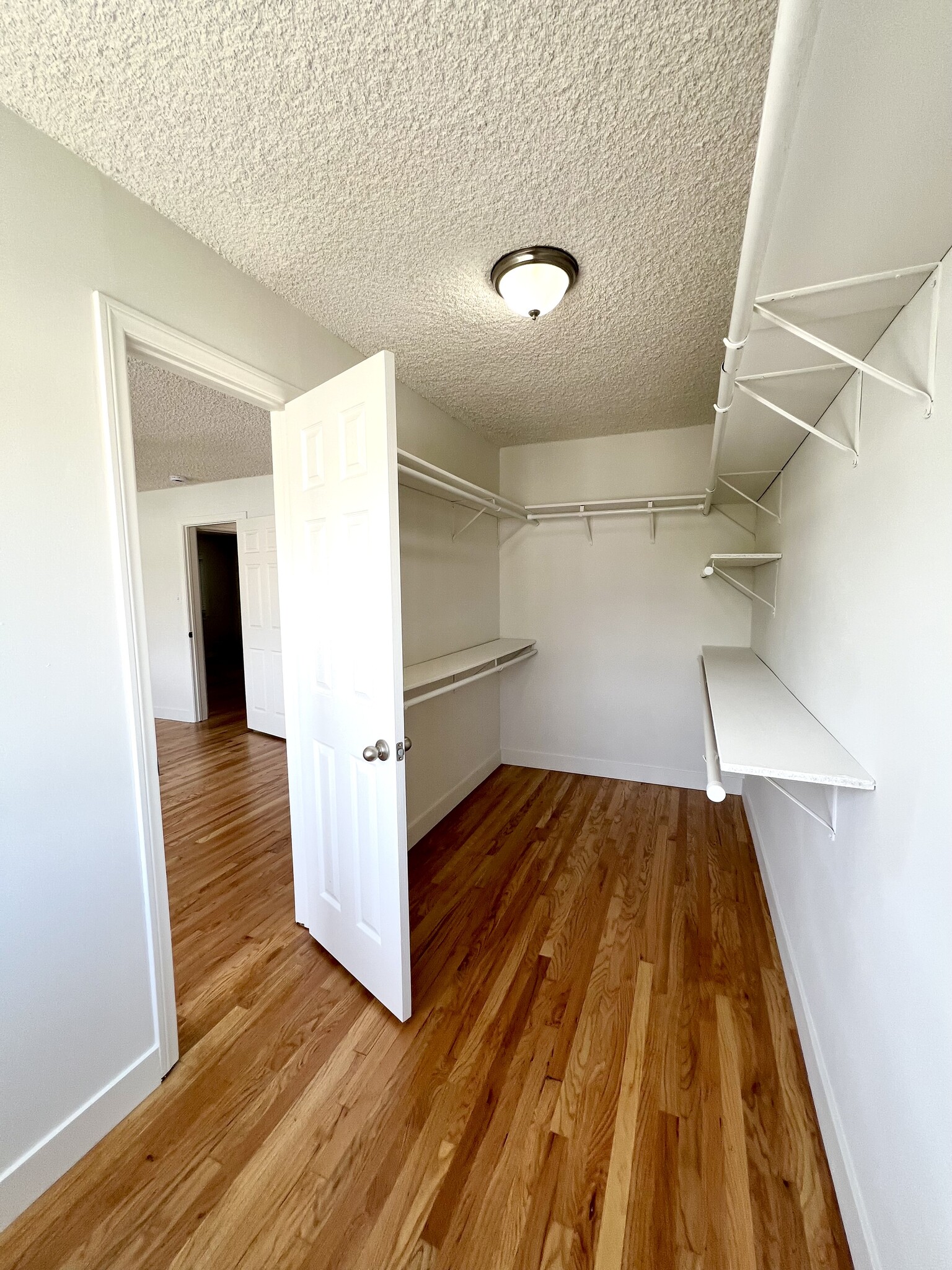 Full walk in closet - 4550 Vista del Monte Ave