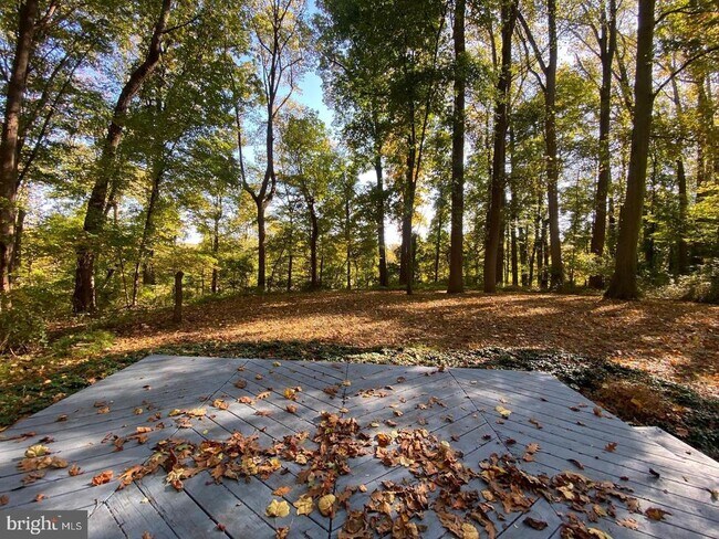 Building Photo - 119 Stoney Ridge Rd