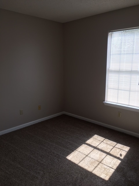 Building Photo - 3 Bedroom 2 Bath Home Close to Moody