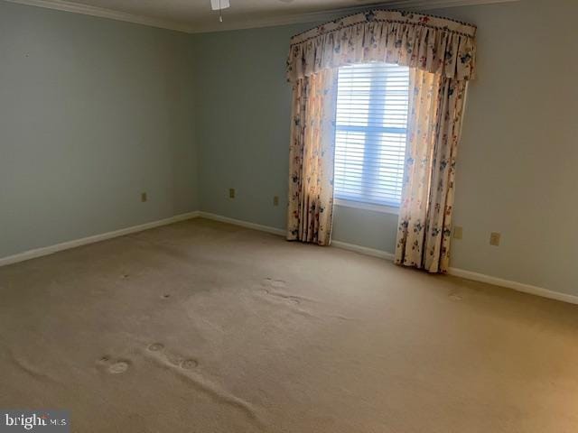 Building Photo - 1817 Rosser Ln