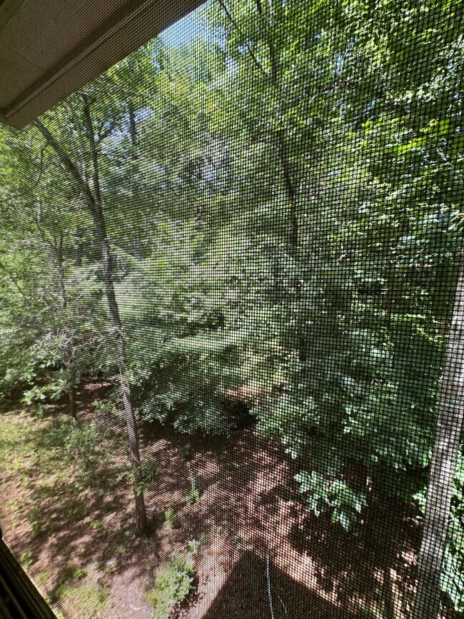 Building Photo - 375 Segrest Cir