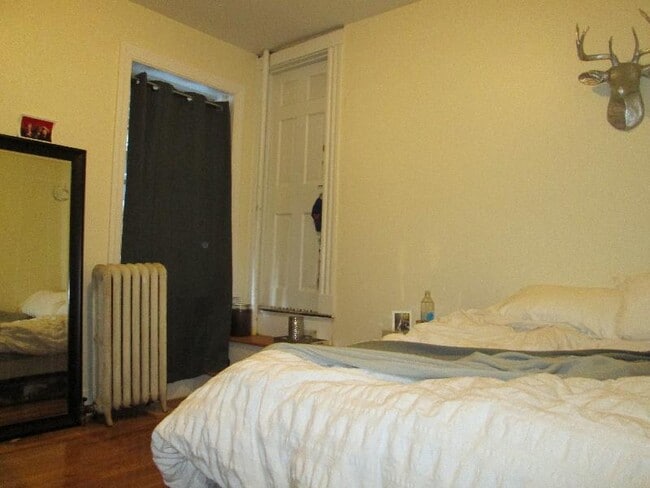 Building Photo - 60 Egmont St