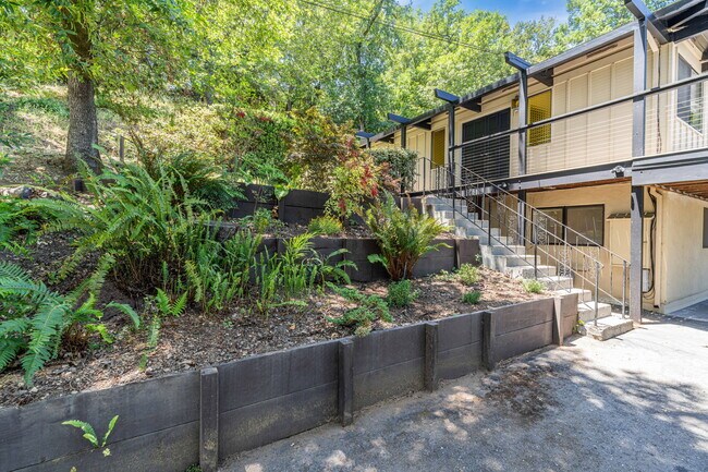 Building Photo - 24 El Rey Rd