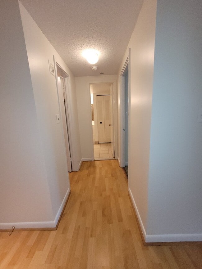 Hallway - 3709 S George Mason Dr