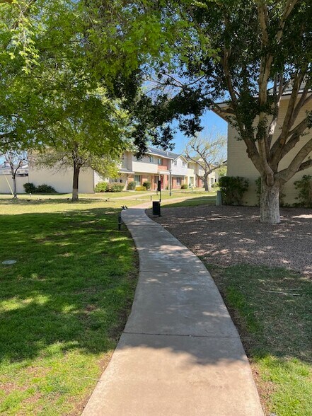 Eastwood Community Grass Common Area and Walkways - 4444 E Belleview St