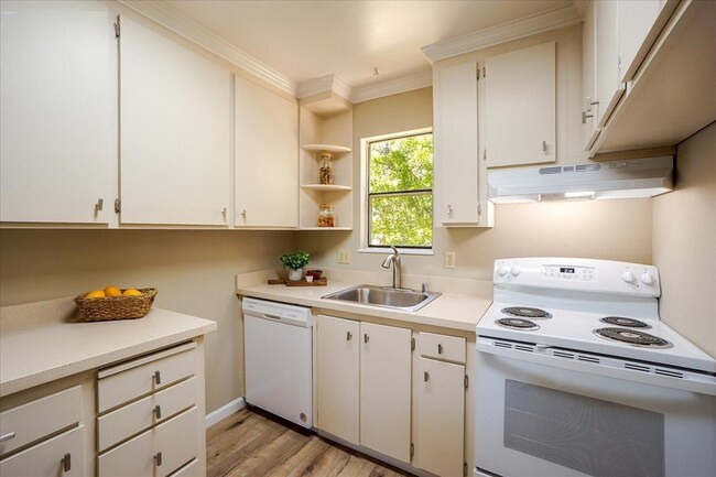 Building Photo - 250 Chilpancingo Pkwy