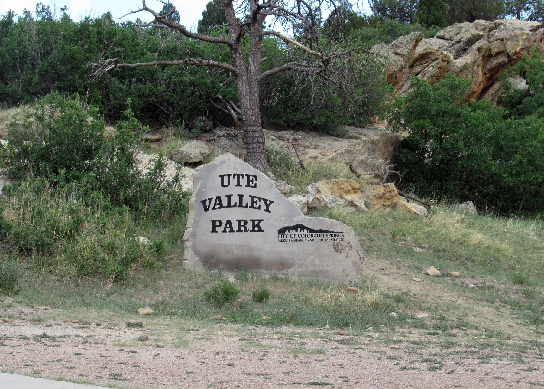 Building Photo - 6913 Yellowpine Dr