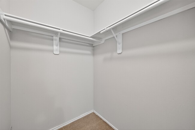 Building Photo - 3123 Sun Terrace Ln
