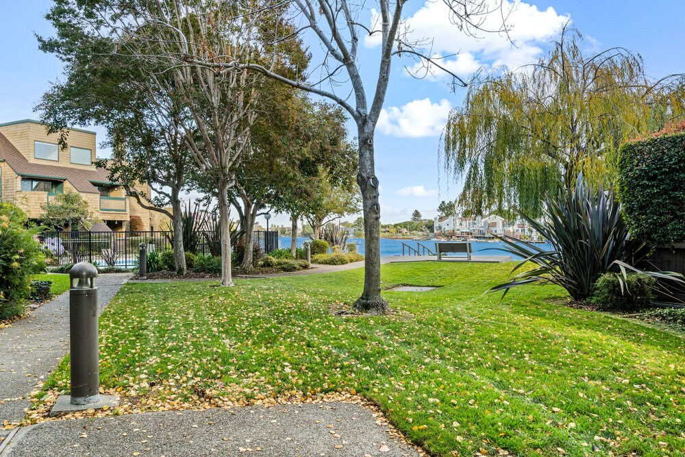 Backyard waterfront park like greenbelt - 86 Pelican Ln