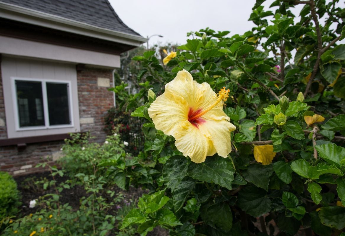 Building Photo - 8130 Redlands St