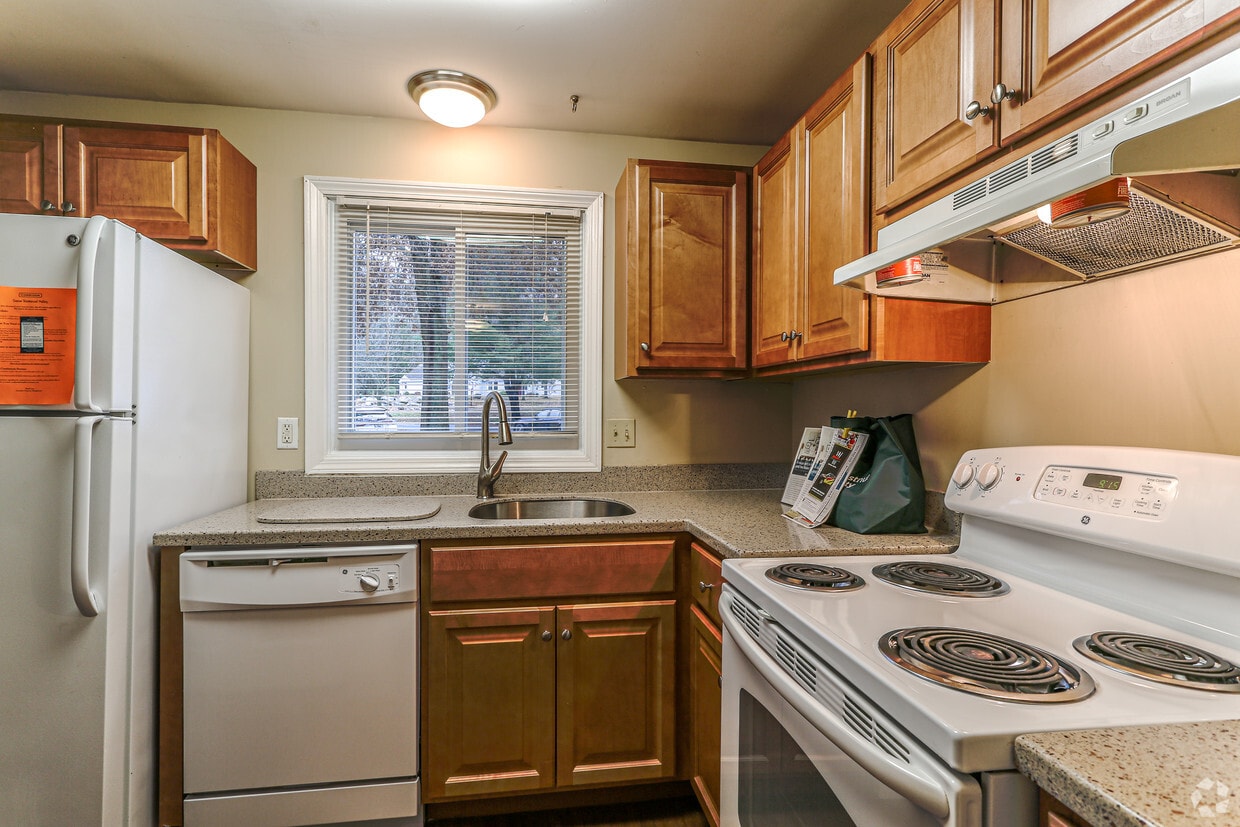 Tamarlane Portland Me Apartment Finder