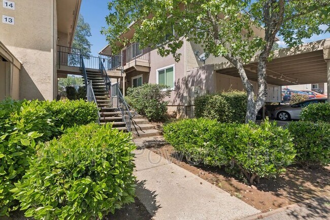 Building Photo - 2529 Greenwood Ln