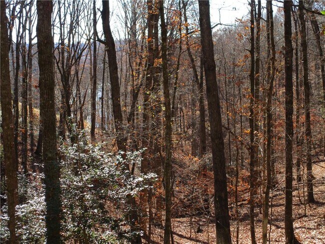 Building Photo - 2429 Thompson Mill Rd