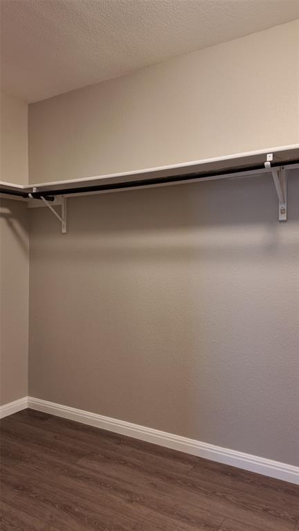 Building Photo - 11221 Bachman Dr