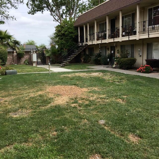 Condo For Rent Stockton Ca